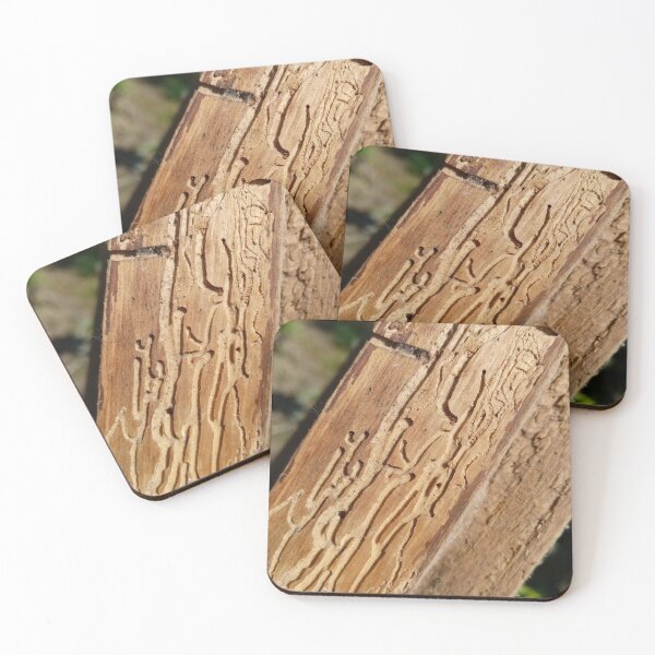 Item preview, Damaged wood plank designed and sold by Gaspar Avila.