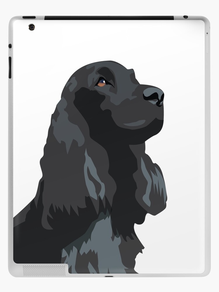 black cocker spaniel