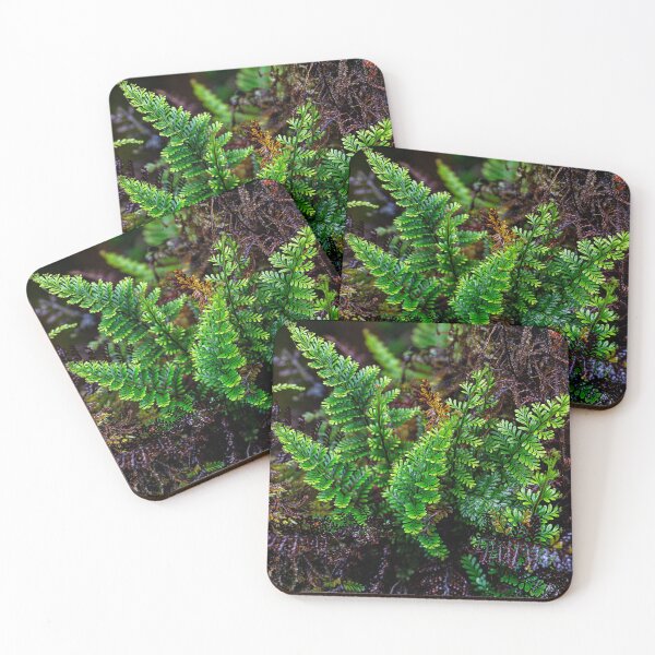 Item preview, Wahine Noho Mauna designed and sold by Keola Makaiau.