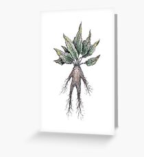 Mandrake Greeting Card