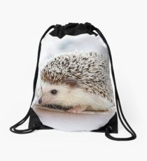 Cute Baby Hedgehog Photograph Drawstring Bag