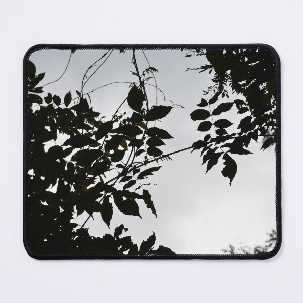 Item preview, Greenery Noir's Companion designed and sold by Tessia Photography.