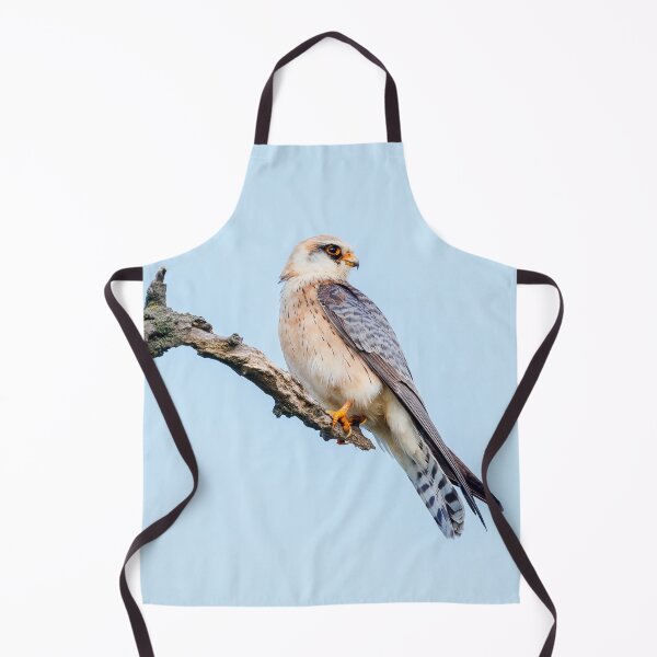 Item preview, Halcón patirrojo, Falco vespertinus designed and sold by Graham Prentice.