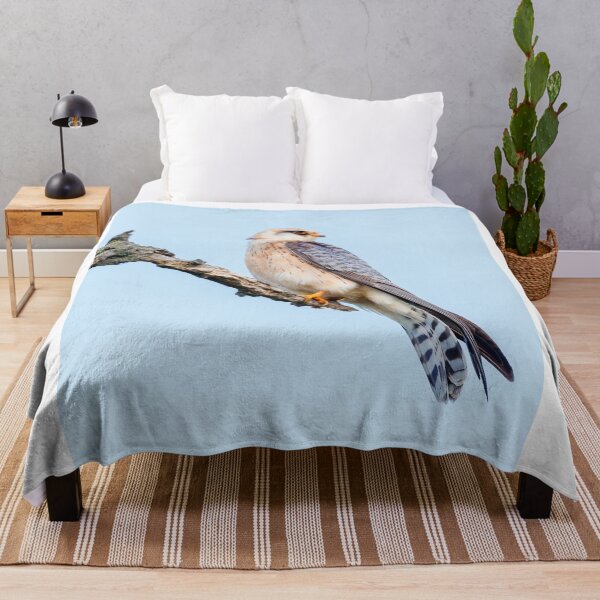 Item preview, Red-footed falcon, Falco vespertinus designed and sold by Graham Prentice.