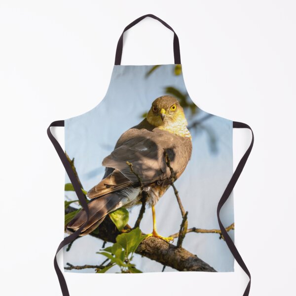 Item preview, Eurasian sparrowhawk, Accipiter nisus designed and sold by Graham Prentice.