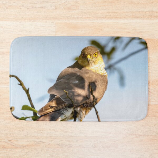 Item preview, Eurasian sparrowhawk, Accipiter nisus designed and sold by Graham Prentice.