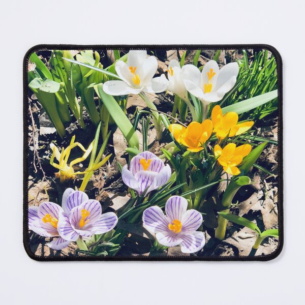 Item preview, In Bloom - 2019 1 designed and sold by Angela Fazio.