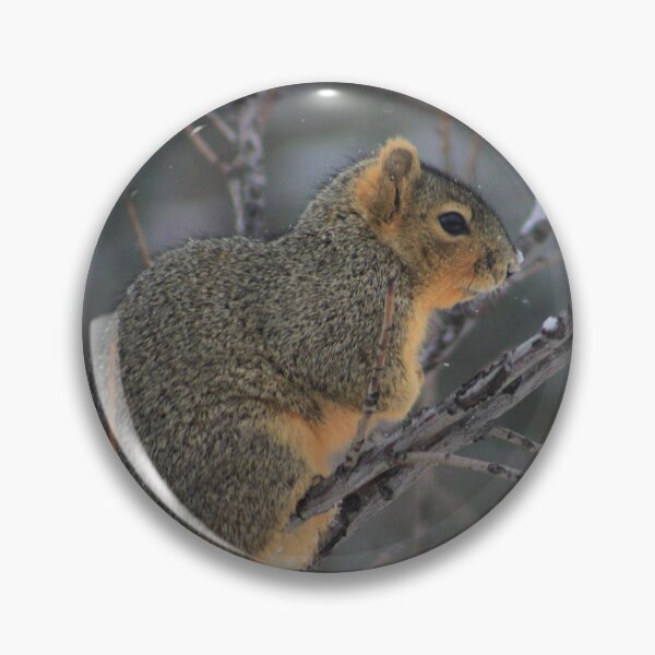 Item preview, Winter Squirrel  designed and sold by LyssaBunni.
