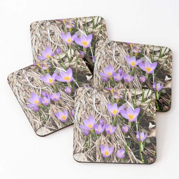 Item preview, In Bloom - 2019 2 designed and sold by Angela Fazio.
