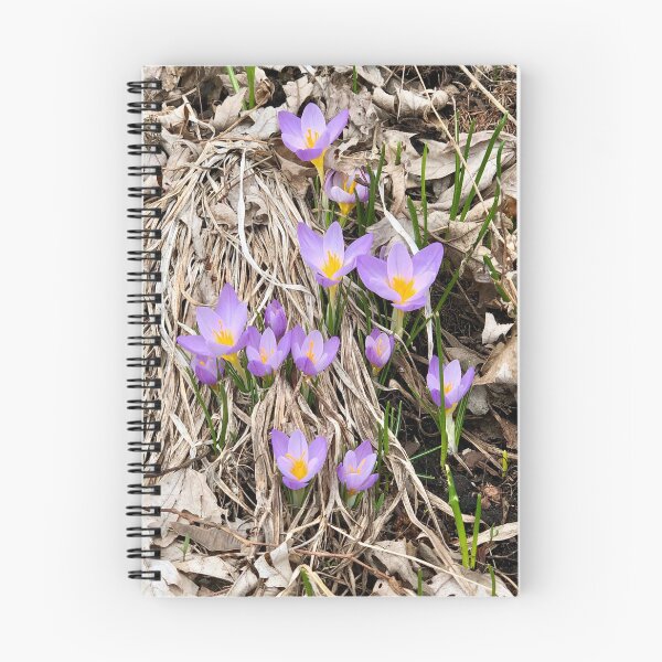 Item preview, In Bloom - 2019 2 designed and sold by Angela Fazio.