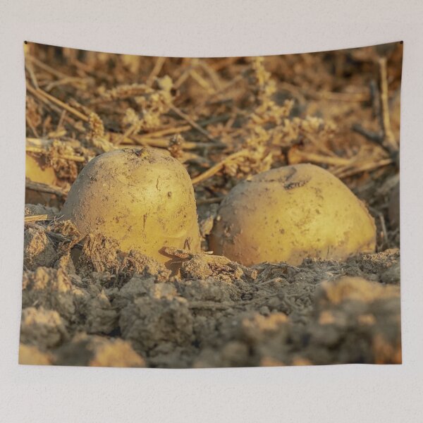 Item preview, Potatoes and Soil designed and sold by Soy-el-Soil.