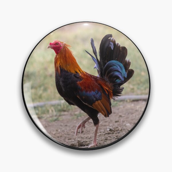 Item preview, rooster designed and sold by ricobarinas.