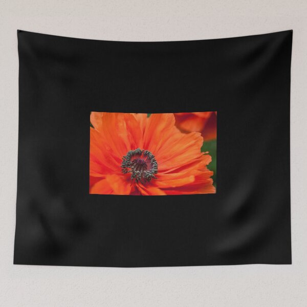 Item preview, Orange Poppy Photo designed and sold by Courtney Matulewicz.