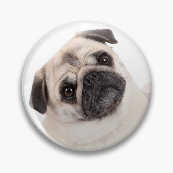 Item preview, Poser Pug designed and sold by mlorenz.