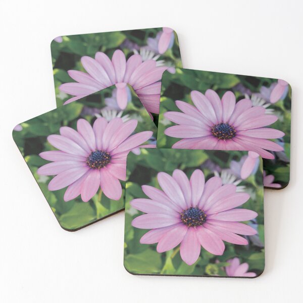 Item preview, Beautiful Daisy Flower Photography  designed and sold by hanyj732.