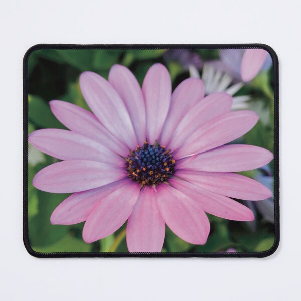 Item preview, Beautiful Daisy Flower Photography designed and sold by hanyj732.