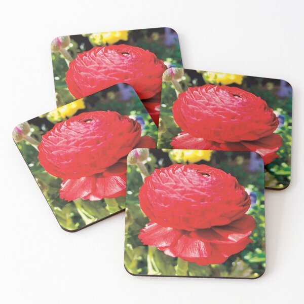 Item preview, Beautiful Red Persian Buttercup Flower Photography designed and sold by hanyj732.