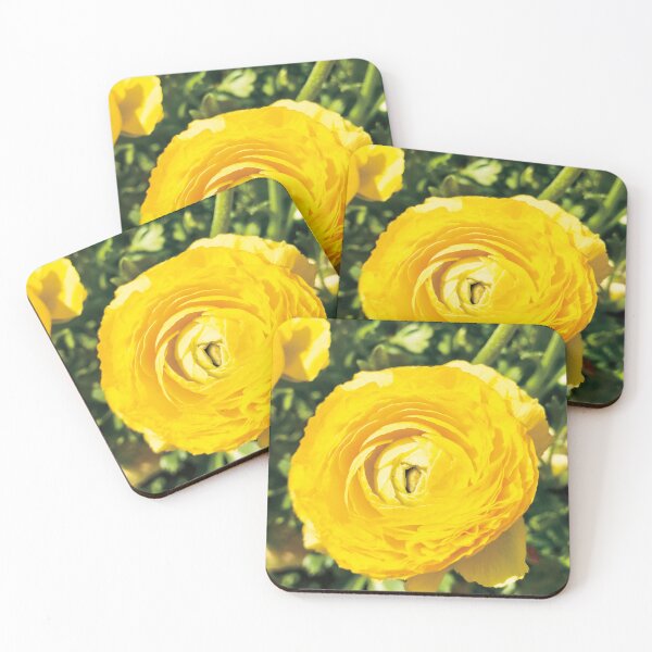 Item preview, Beautiful Yellow Persian Buttercup Flower Photography designed and sold by hanyj732.