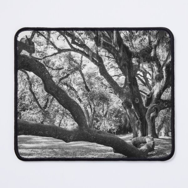 Item preview, Live Oak Tree Sprawl - Black and White designed and sold by Lostlogo.