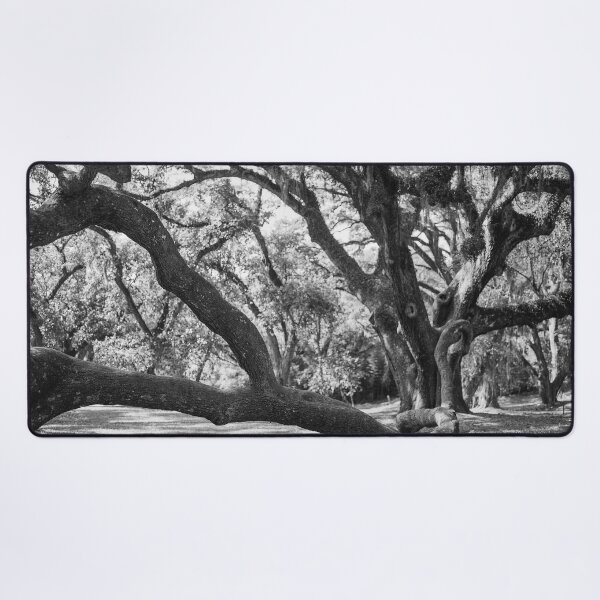 Item preview, Live Oak Tree Sprawl - Black and White designed and sold by Lostlogo.