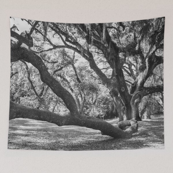 Item preview, Live Oak Tree Sprawl - Black and White designed and sold by Lostlogo.