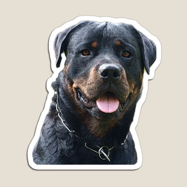 Perro peluche retailer rottweiler