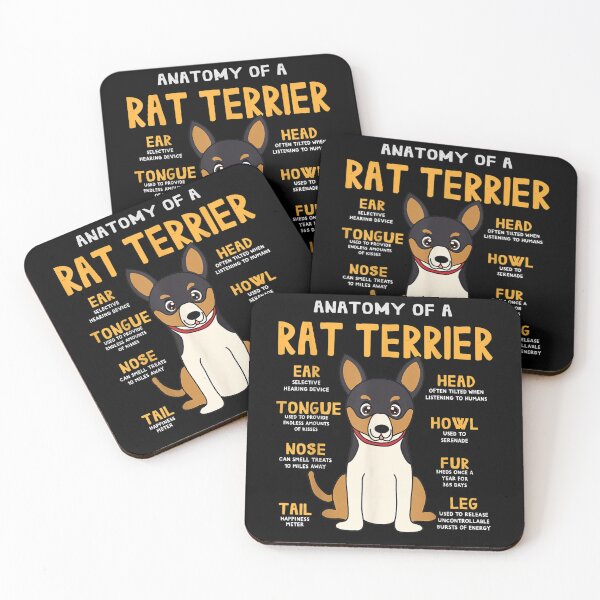 Item preview, Rat Terrier Anatomy Funny Dog Mom Dad designed and sold by michellexkelly.