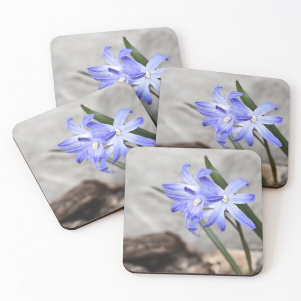 Item preview, A Few Glory-of-the-Snow Blooms designed and sold by Kathleen Brant.