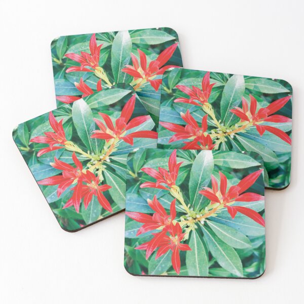 Item preview, Red Pieris Japonica Flower Photography  designed and sold by hanyj732.