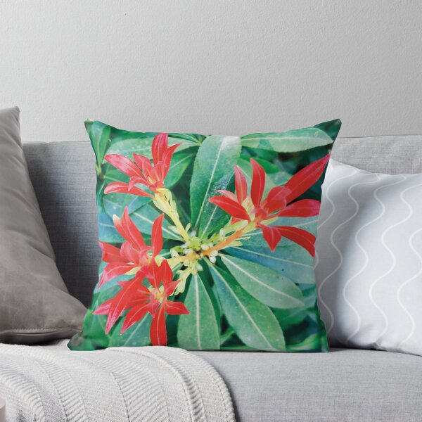 Item preview, Red Pieris Japonica Flower Photography  designed and sold by hanyj732.