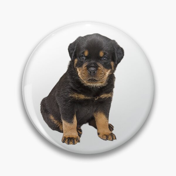 Item preview, ROTTWEILER DOG TSHIRT designed and sold by GOLDFAMILYSHOP.