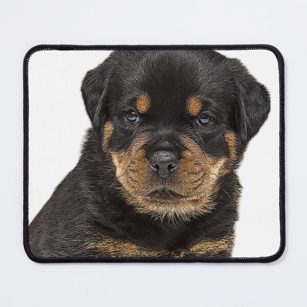 Item preview, ROTTWEILER DOG TSHIRT designed and sold by GOLDFAMILYSHOP.