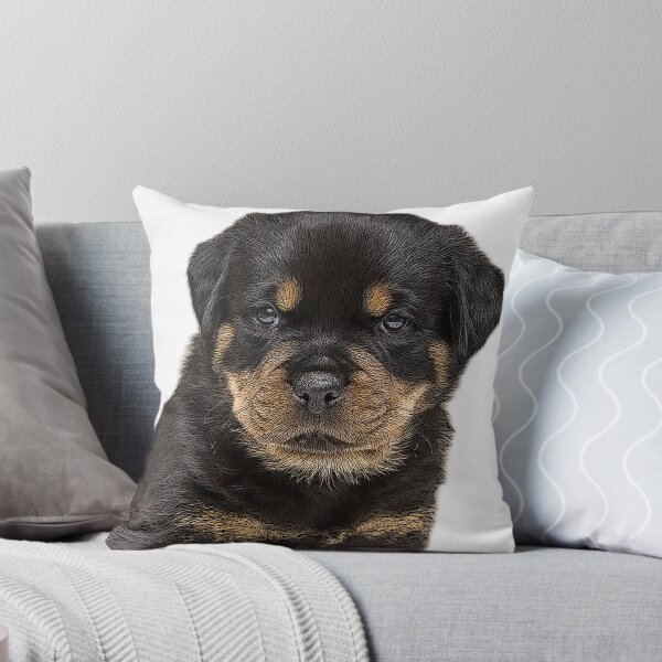 Item preview, ROTTWEILER DOG TSHIRT designed and sold by GOLDFAMILYSHOP.