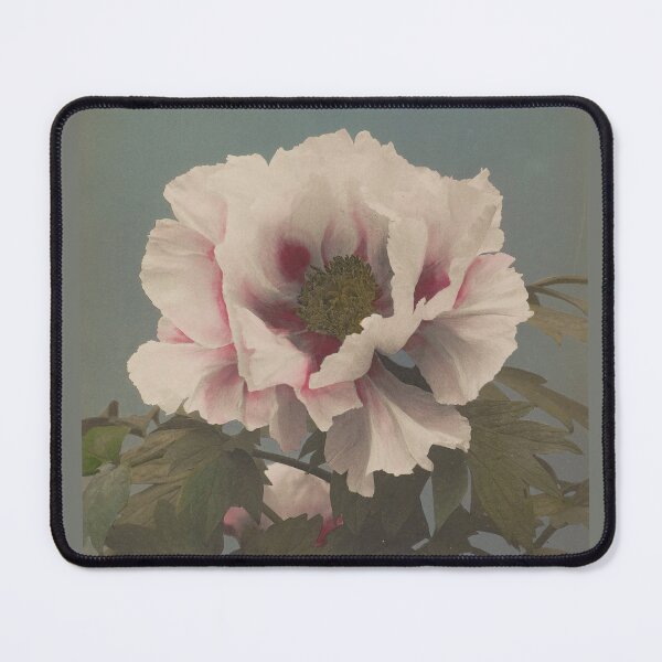 Item preview, Ogawa Kazumasa: Tree Peony Flower, Remastered - Vintage Japanese Art designed and sold by Ellodee.