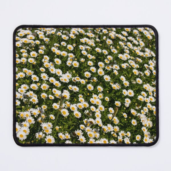 Aperçu de l'œuvre Marguerites créée et vendue par darthblueash.