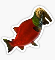 Epic Catch Sticker