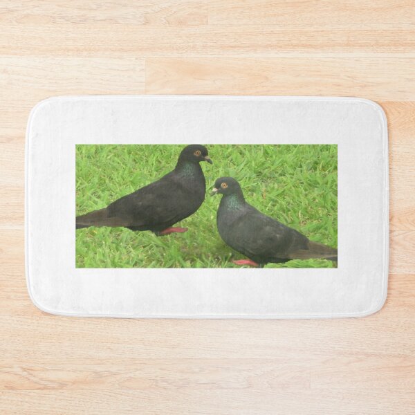 Item preview, Edited pigeons photo designed and sold by MiaRose85.