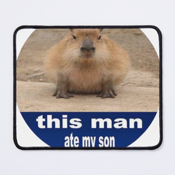 Item preview, capybara designed and sold by Ashley and Malia.