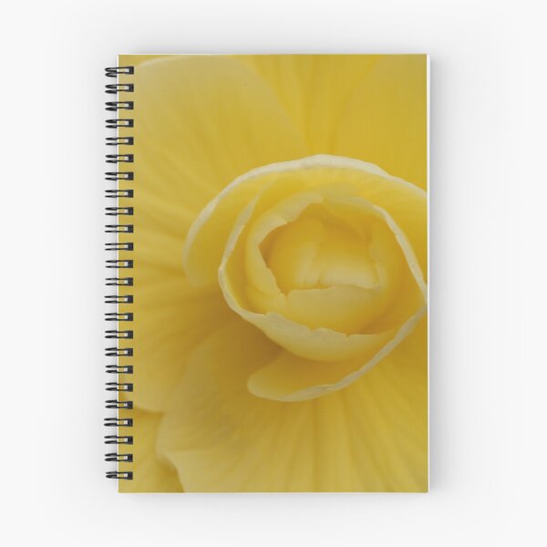 Item preview, Begonia Festival 12 designed and sold by beeden.