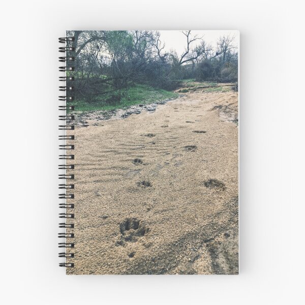 Item preview, Coyote Tracks in the River designed and sold by Salvatore12.