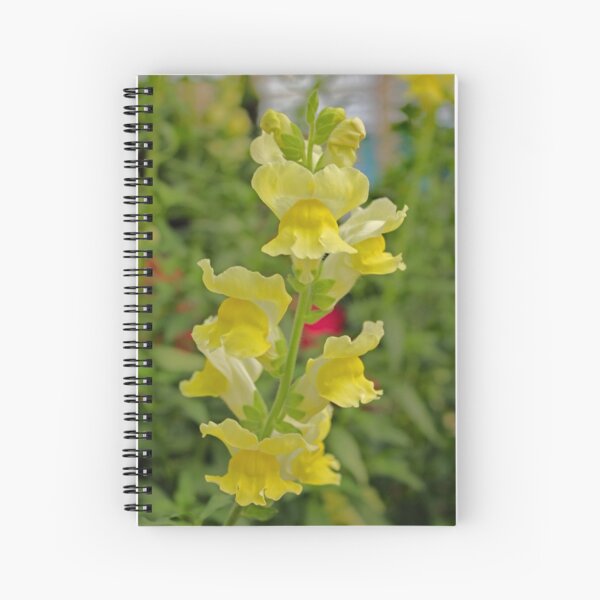 The Snapdragons Are Coming Into Bloom! Spiral Notebook