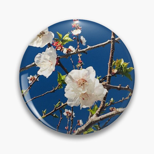 Artikelvorschau, Aprikosenblüte Weiß-rosa Blüten und tiefblauer Himmel von Iritof entworfen und verkauft von iritof.