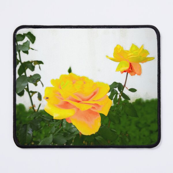 Item preview, Spring Flower Yellow rose designed and sold by anisbbmbrush.