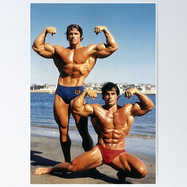 Item preview, Franco and Arnold on the Beach designed and sold by Harrisbarbara39.