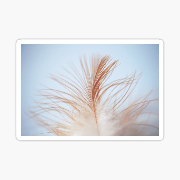 Item preview, FEATHER crem look - animal collection designed and sold by pavlova-design.