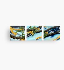 Overlooked Nature Canvas Print