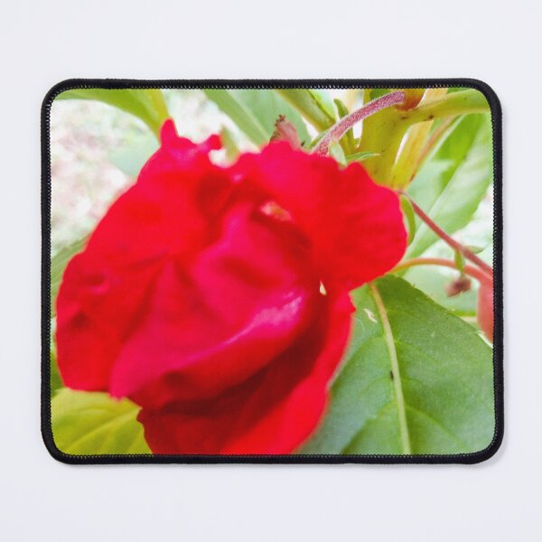 Item preview, Beautiful Red flowers designed and sold by Cheni-Yathri.