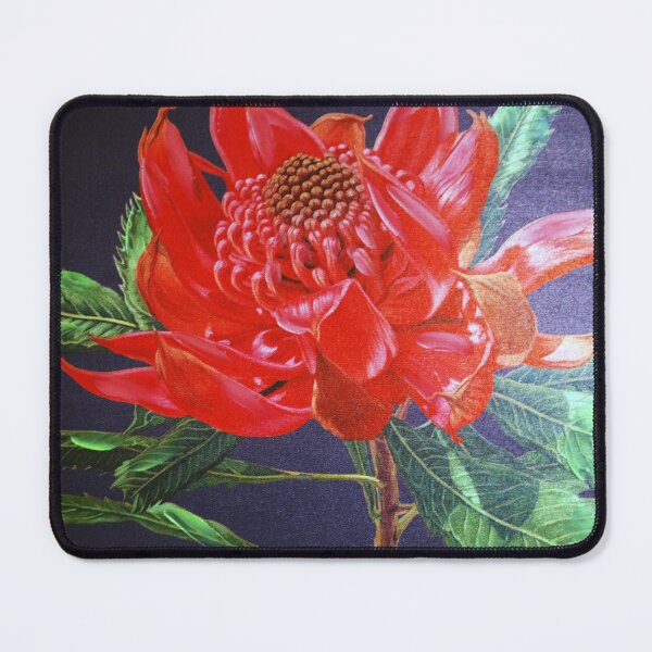 Item preview, Waratah designed and sold by treborbob.