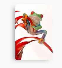 Hanging on Metal Print