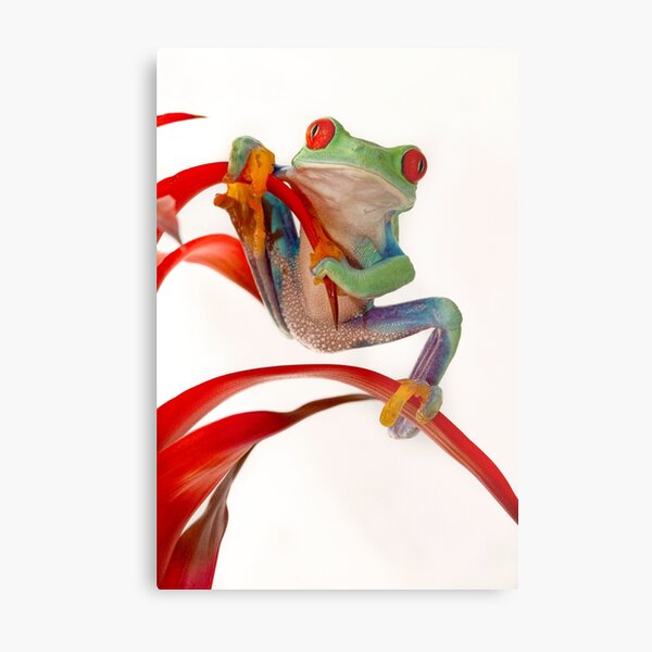 Hanging on Metal Print